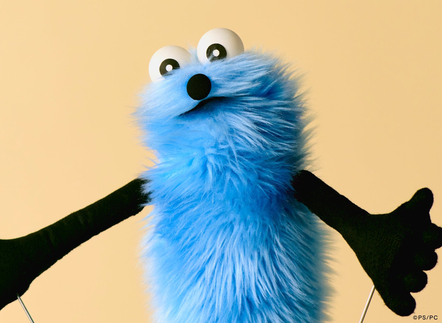 它不是《芝麻街》，日本新生代新寵－PUPPET SUNSUN