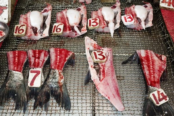 香港最上鏡食物！告別英國傳奇攝影師